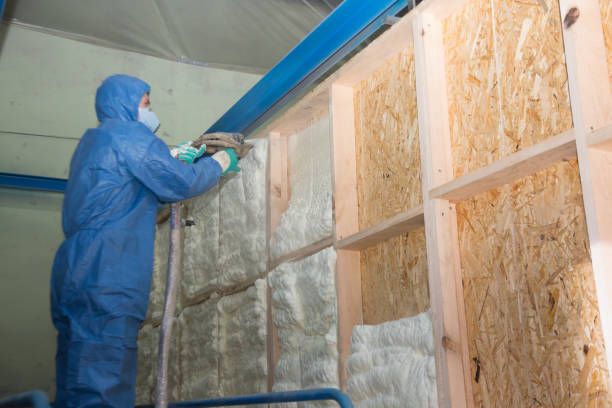 Best Insulation Inspection Services  in Del Rey Oaks, CA